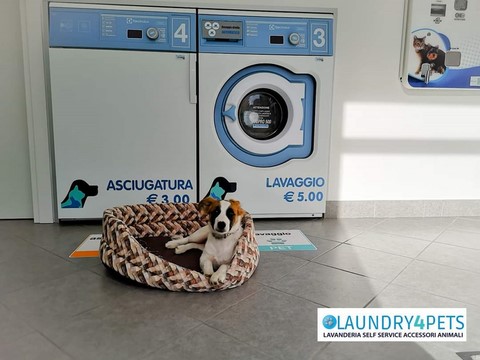 laundry4Pets Salerno